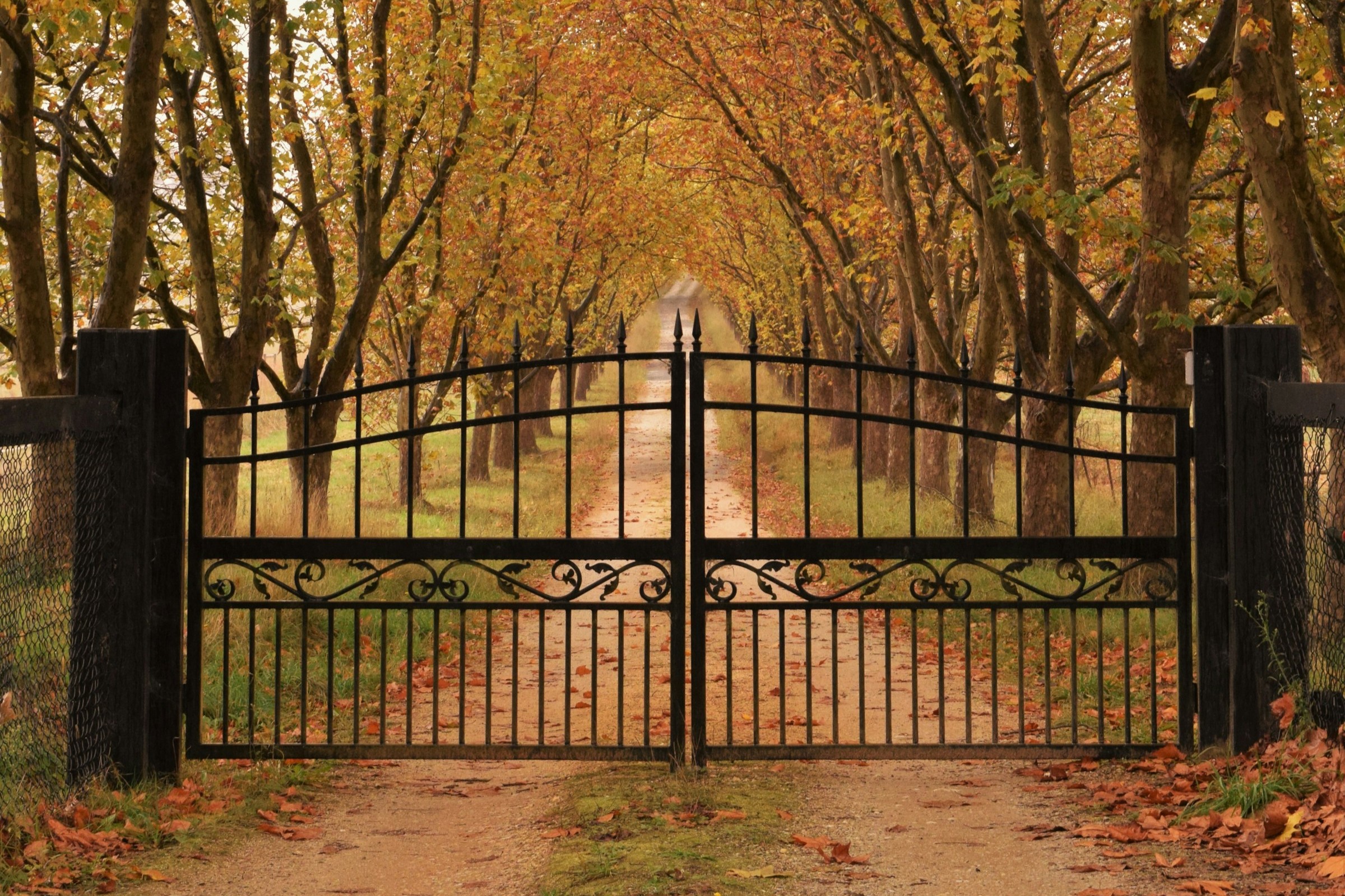 metal gates