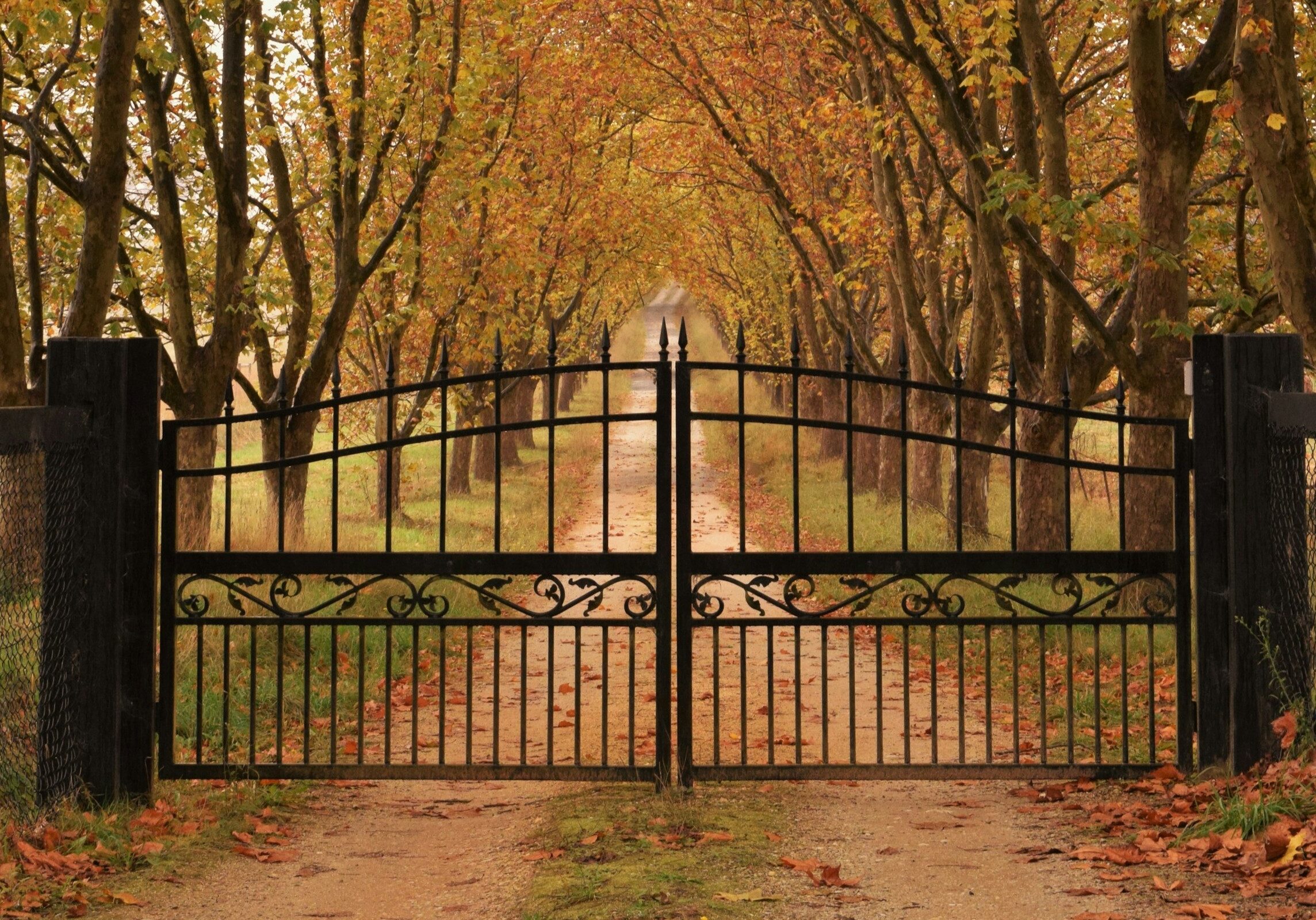 metal gates